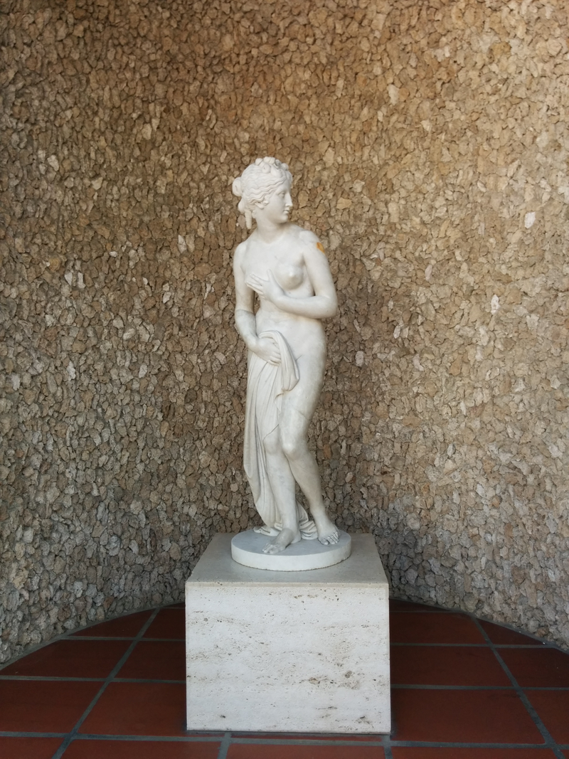 Illustration for article titled Pictures from the Getty Villa